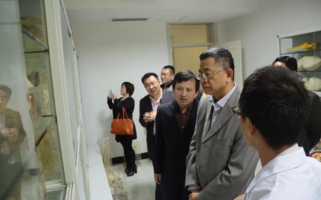 点击查看原图